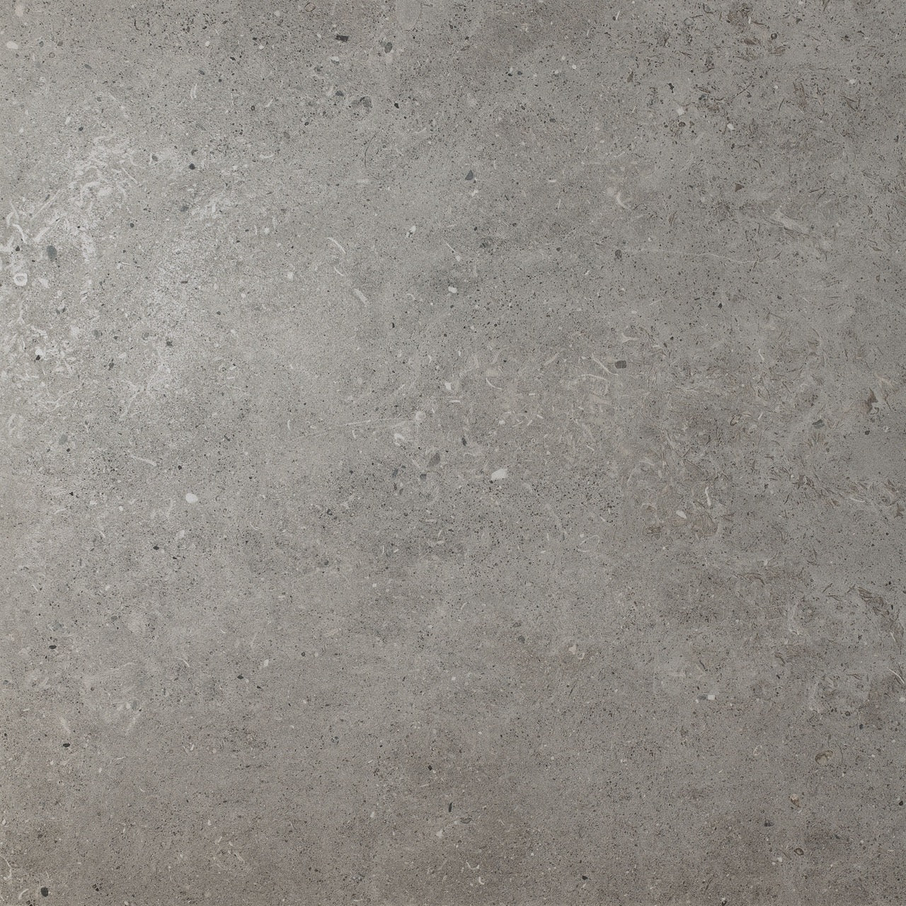 Carrelage Intérieur/Extérieur Beren 120x120 Effet Pierre